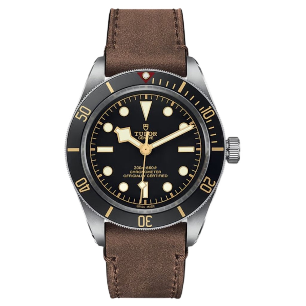 TUDOR BLACK BAY 58