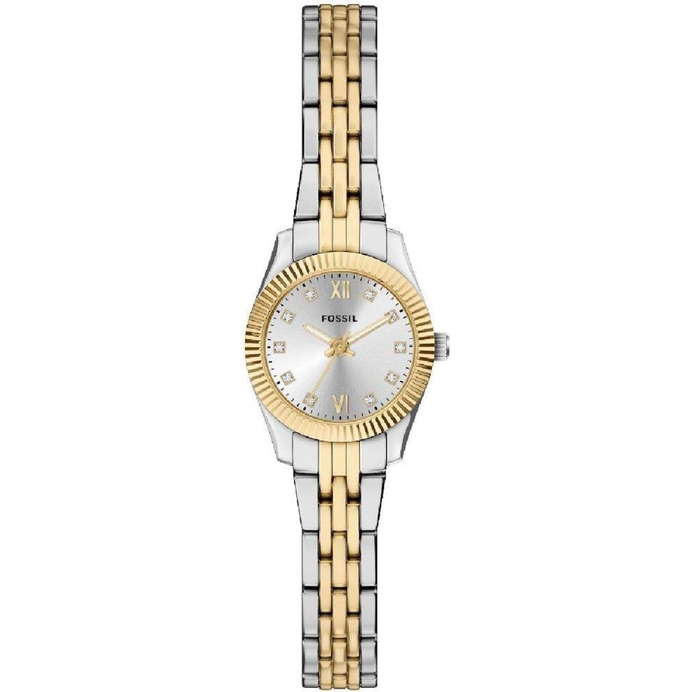 ZEGAREK FOSSIL SCARLETTE MINI