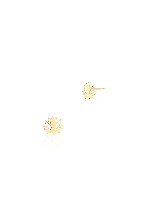 Kolczyki złote kwiat lotosu