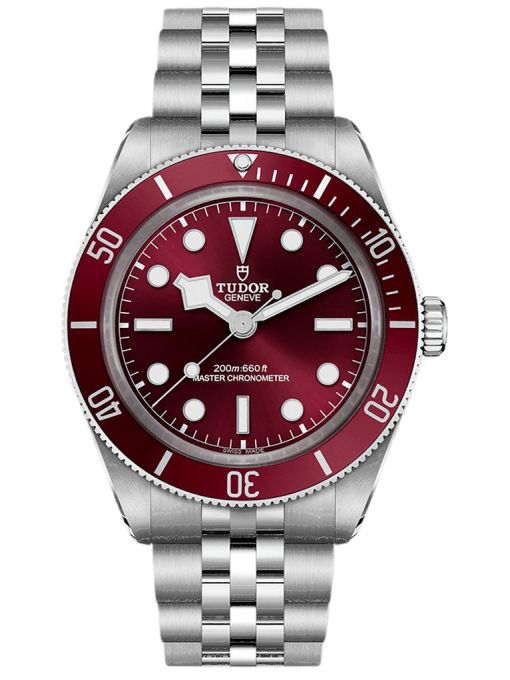 TUDOR BLACK BAY 58