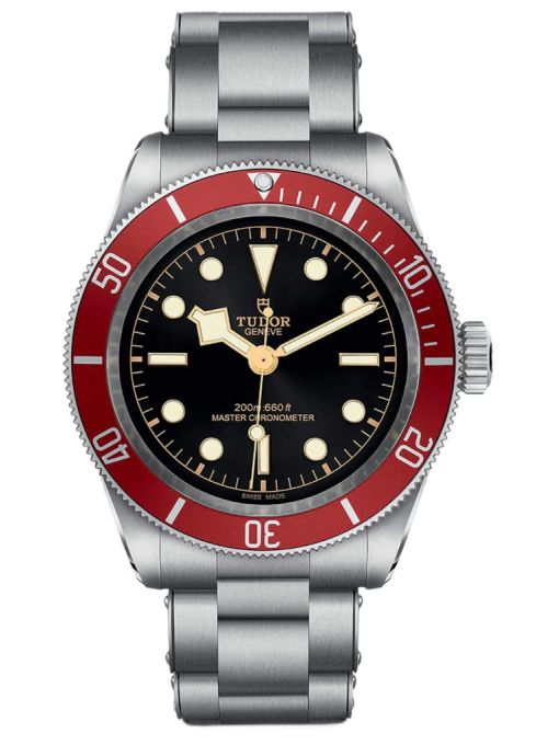 TUDOR BLACK BAY
