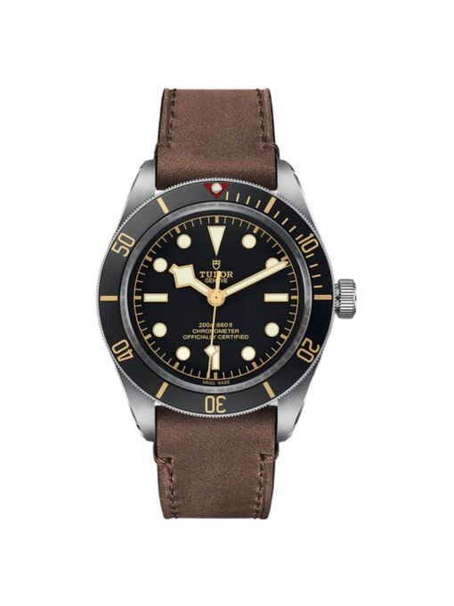 TUDOR BLACK BAY 58