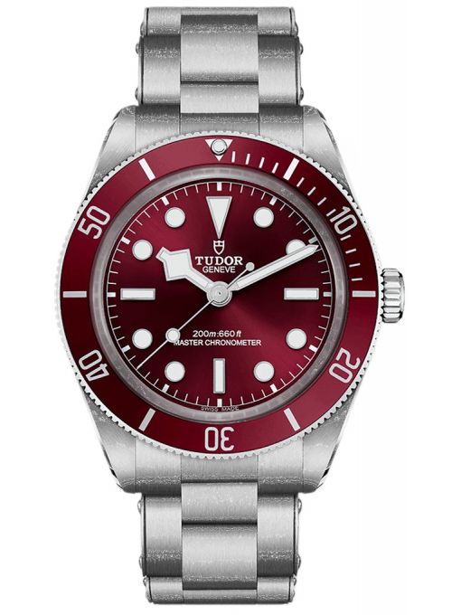TUDOR BLACK BAY 58