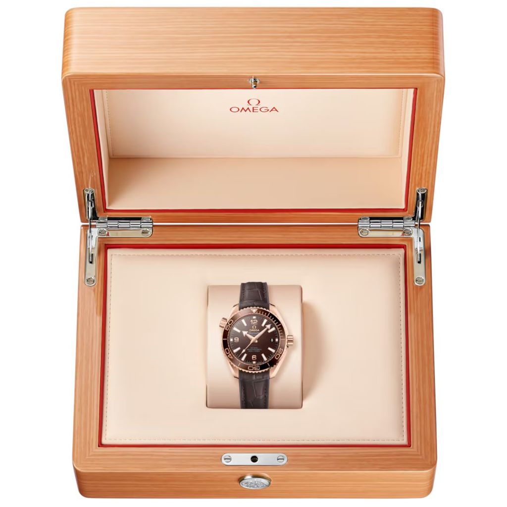 ZEGAREK OMEGA SEAMASTER Planet Ocean 600M