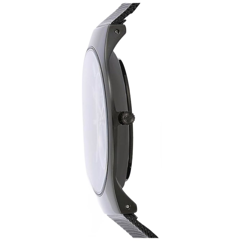 ZEGAREK SKAGEN SUNDBY TITANIUM