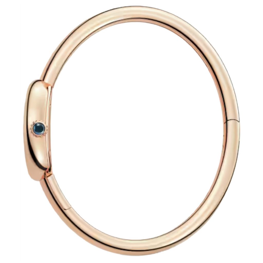 ZEGAREK CARTIER BAIGNOIRE
