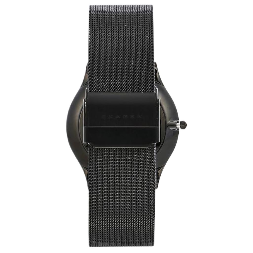 ZEGAREK SKAGEN SUNDBY TITANIUM