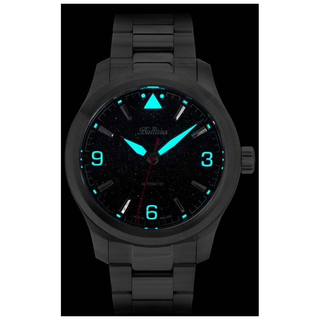 ZEGAREK BALTICUS Flying Seal