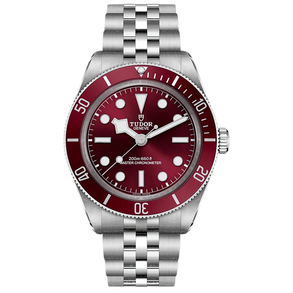 TUDOR BLACK BAY 58