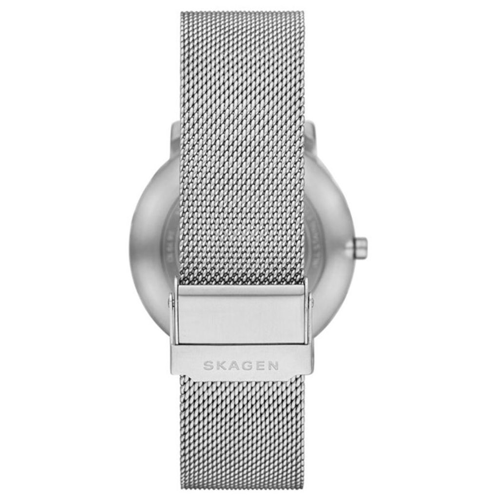 ZEGAREK SKAGEN COLDEN
