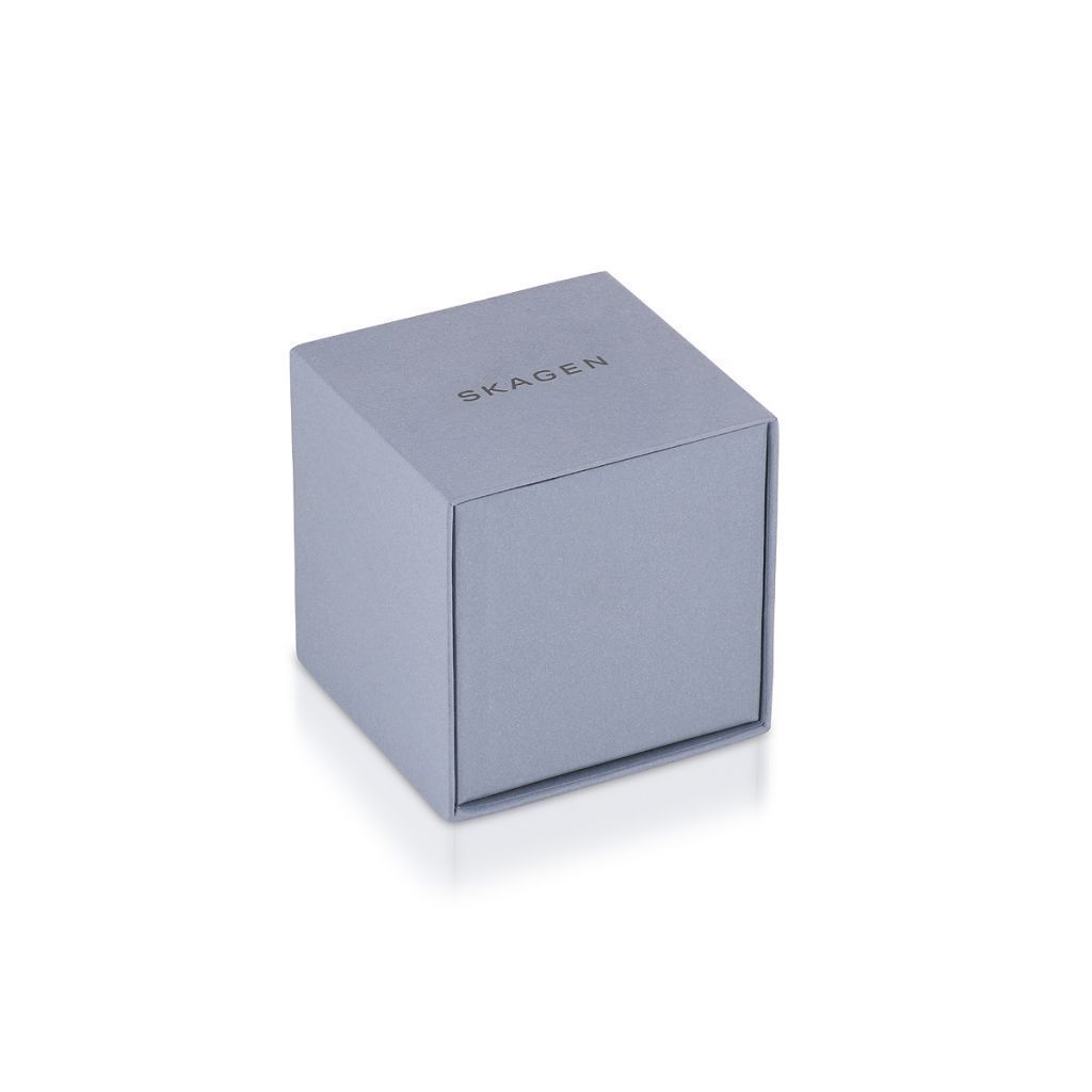 ZEGAREK SKAGEN HAGEN MICRO