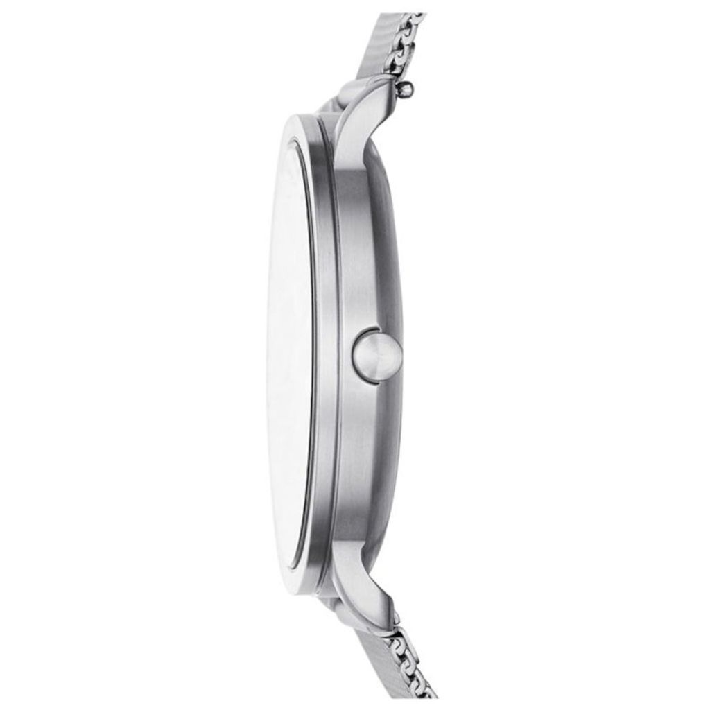 ZEGAREK SKAGEN COLDEN