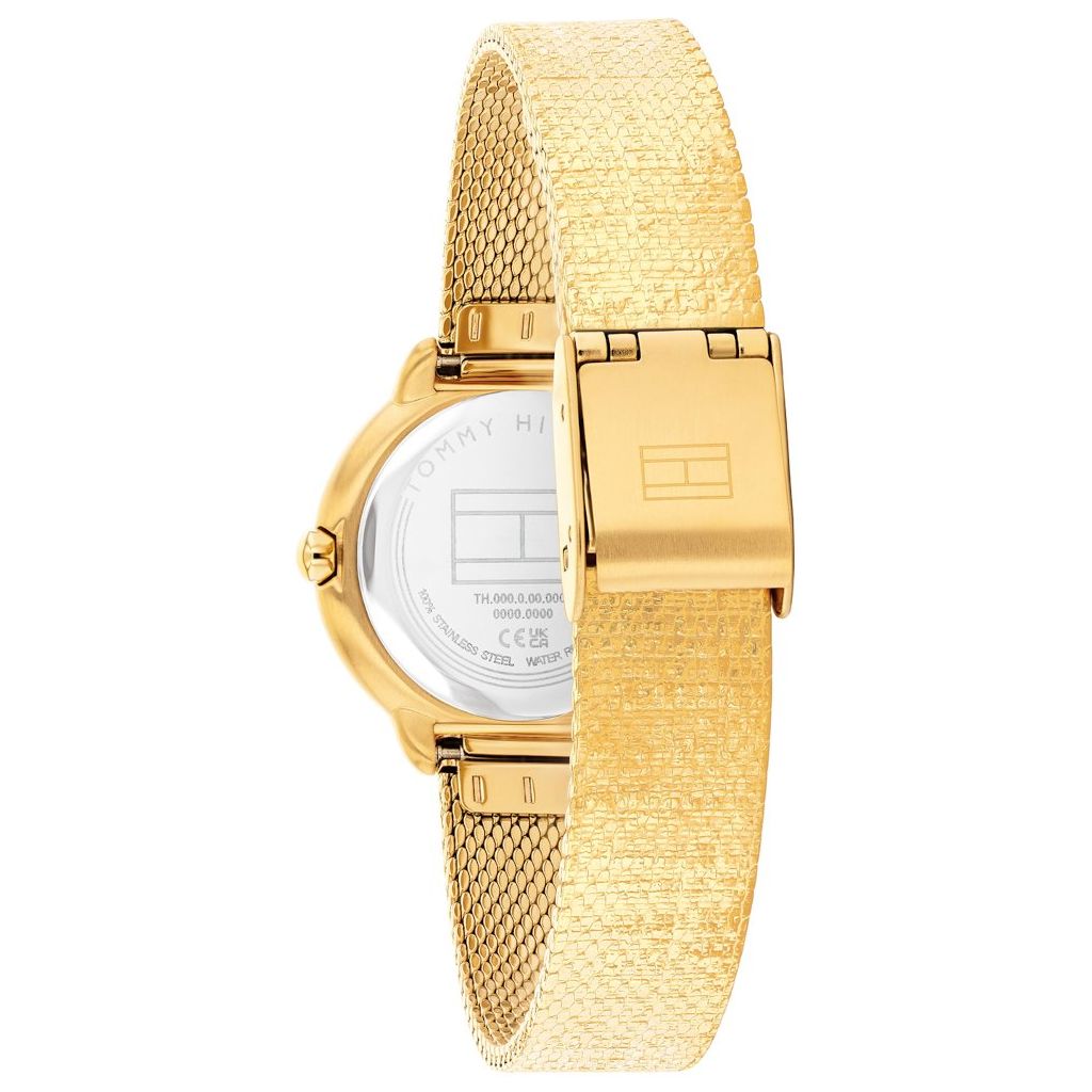 ZEGAREK TOMMY HILFIGER DEMI