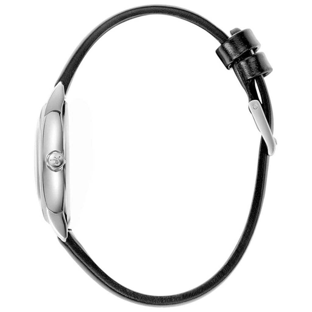ZEGAREK CALVIN KLEIN ESTABLISHED