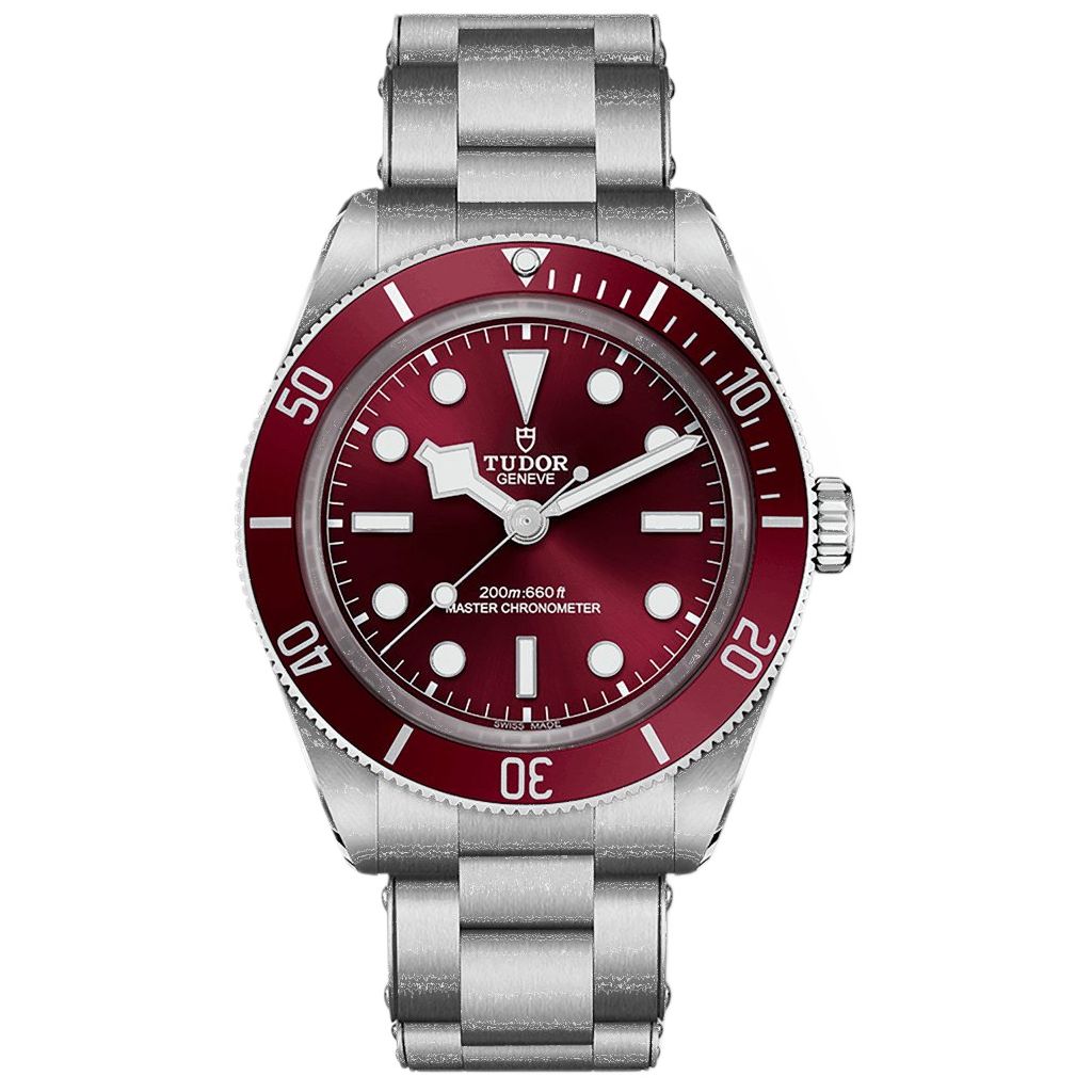 TUDOR BLACK BAY 58
