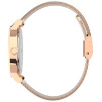 ZEGAREK TIMEX ORIGINALS