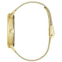 ZEGAREK GUESS SUPERNOVA