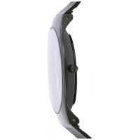ZEGAREK SKAGEN SUNDBY TITANIUM