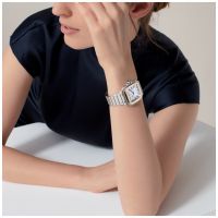ZEGAREK CARTIER SANTOS DE CARTIER M