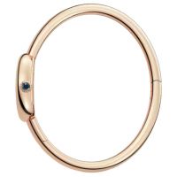 ZEGAREK CARTIER BAIGNOIRE