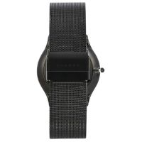 ZEGAREK SKAGEN SUNDBY TITANIUM