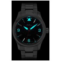 ZEGAREK BALTICUS Flying Seal