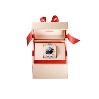 ZEGAREK OMEGA SEAMASTER AQUA TERRA 150M