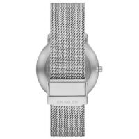 ZEGAREK SKAGEN COLDEN