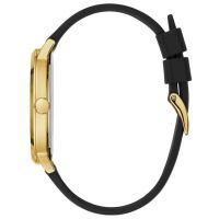 ZEGAREK GUESS SUPERNOVA