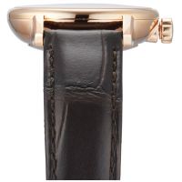 ZEGAREK RADO Coupole Automatic