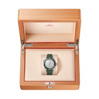 ZEGAREK OMEGA SEAMASTER PLANET OCEAN 600M