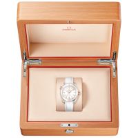 ZEGAREK OMEGA SEAMASTER Planet Ocean 600M