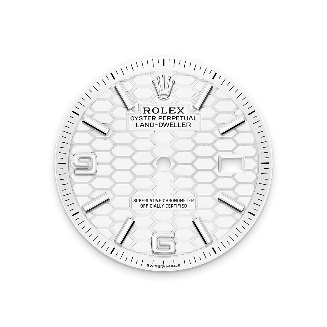 rolex Land-Dweller 36, Biały Rolesor – połączenie stali Oystersteel z białym złotem, M127234-0001 - W.KRUK