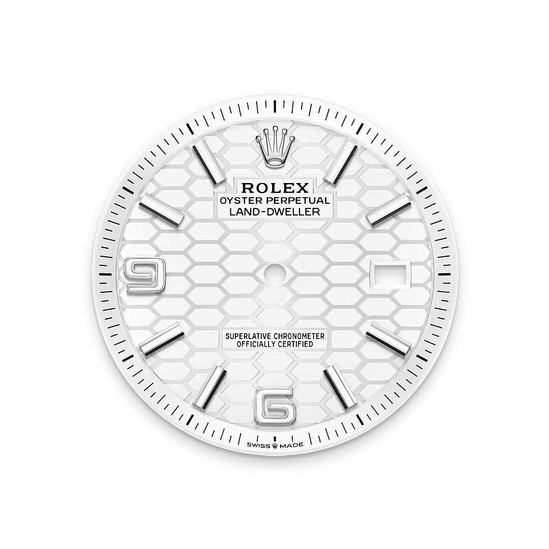rolex Land-Dweller 40, Biały Rolesor – połączenie stali Oystersteel z białym złotem, M127334-0001 - W.KRUK