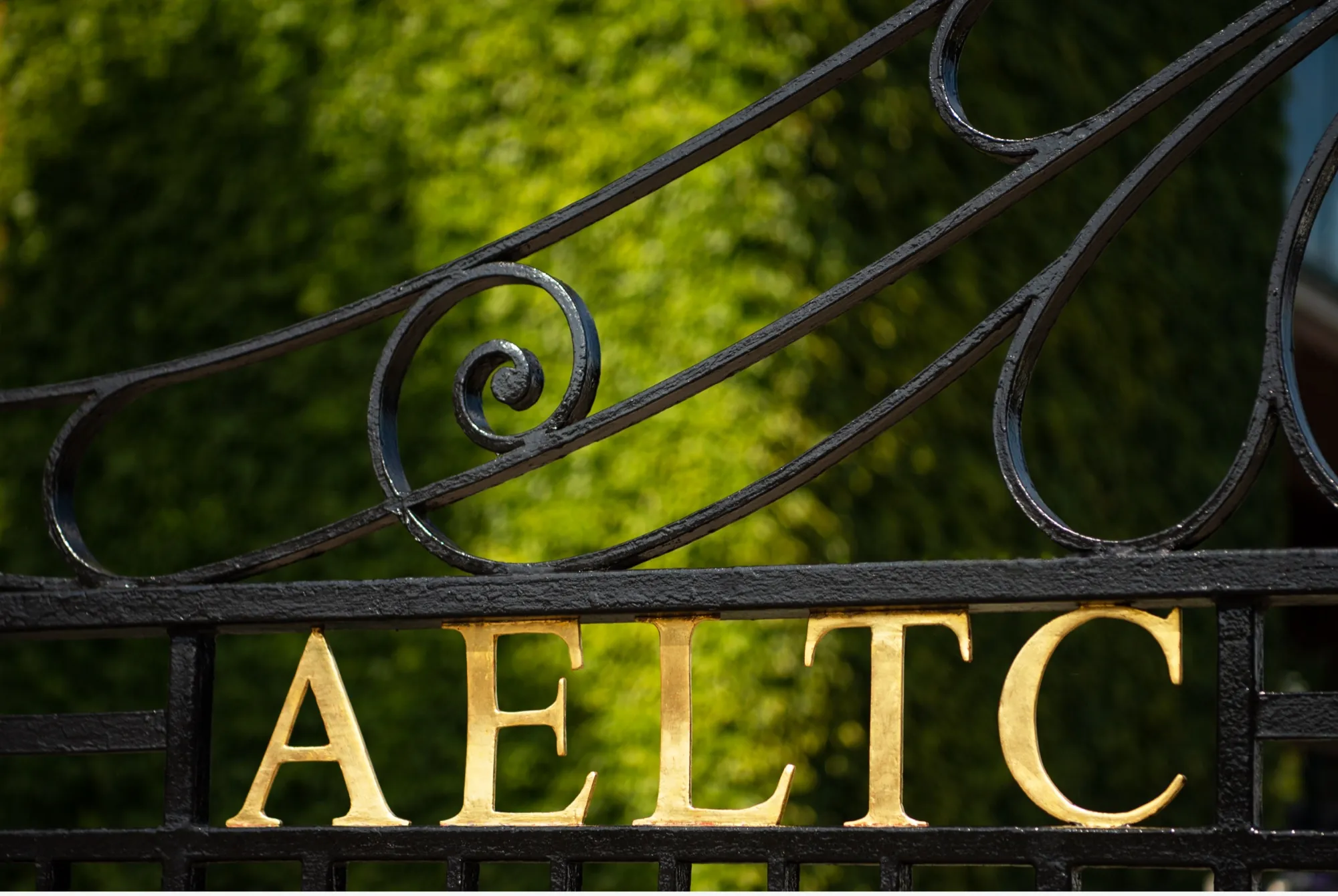 Rolex i Wimbledon - W.KRUK