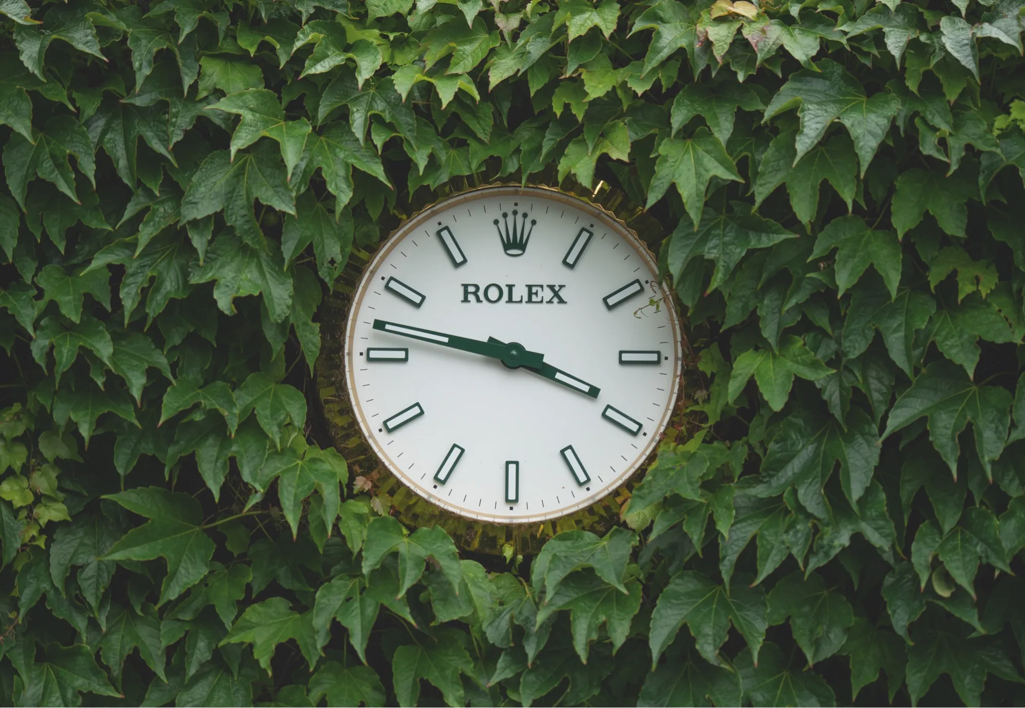 Rolex i Wimbledon - W.KRUK